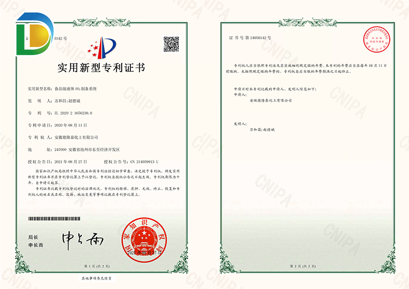 企業(yè)專 利